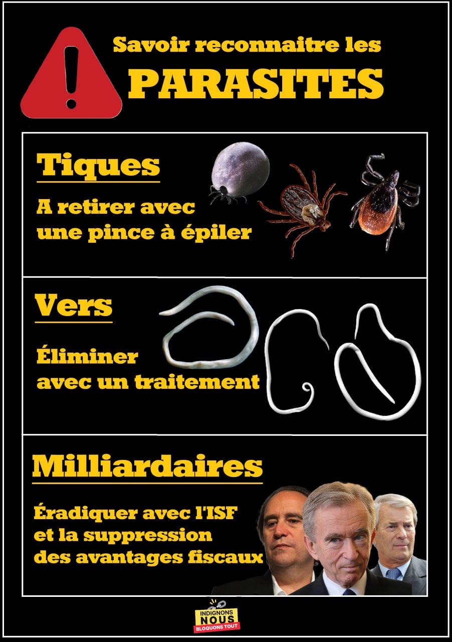 Visuel 4